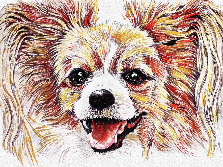 Cavalier King Charles Spaniel Portrait Drawing by Asp Arts