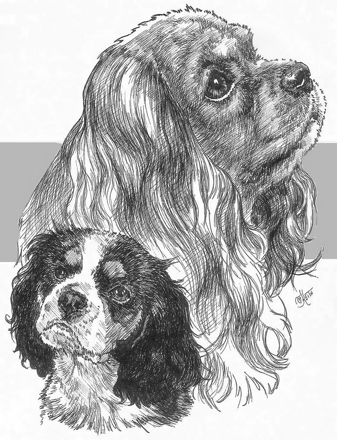 Cavalier King Charles Spaniel and Pup Drawing by Barbara Keith