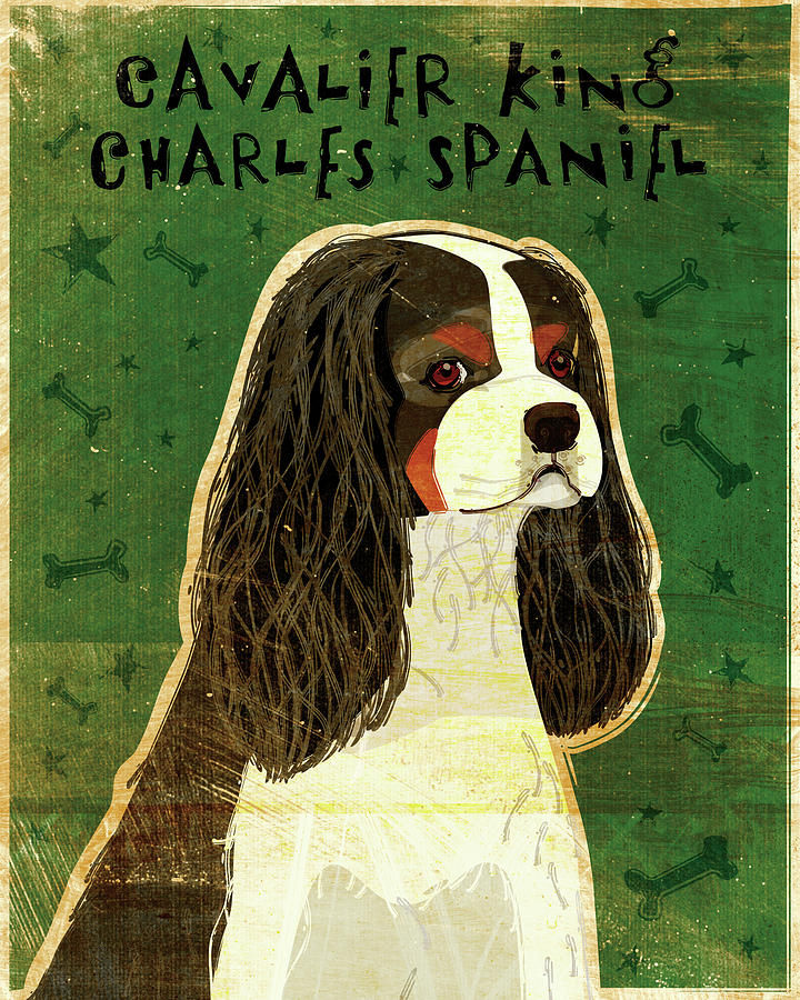 Animal Digital Art - Cavalier King Charles (tri-color) by John W. Golden