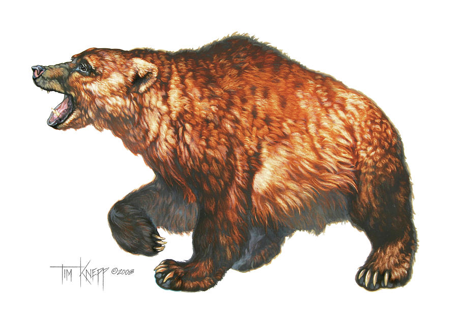 Brown Bear Painting - Cave Bear by Tim Knepp