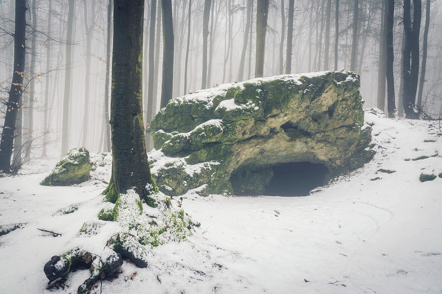 Cave In The Winter Forest Photograph By Tobias Luxberg