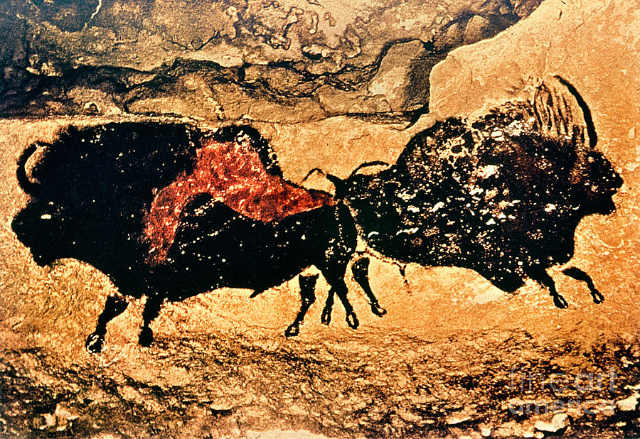 Prehistoric Photograph - Cave Painting Of Bison, Caves Of Lascaux, Dordogne, C.17000 Bc by 