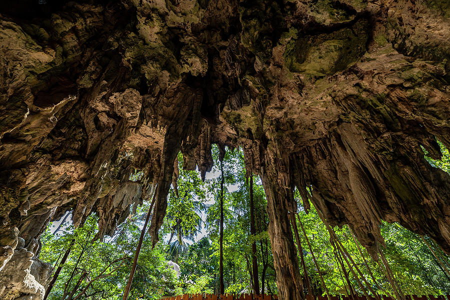 Caves In The South Of The Railay Peninsula, Krabi Region, Thailand Photograph by Robin Runck