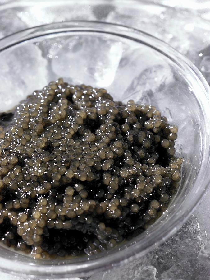 Caviar Photograph by Barbara Lutterbeck