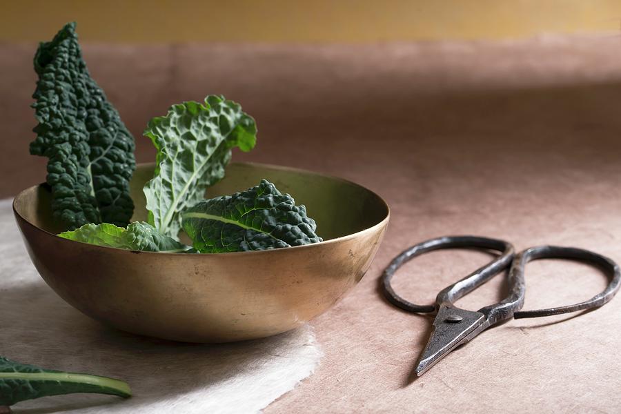 Cavolo Nero In A Bowl, With Scissors To One Side Photograph by Mandy Reschke