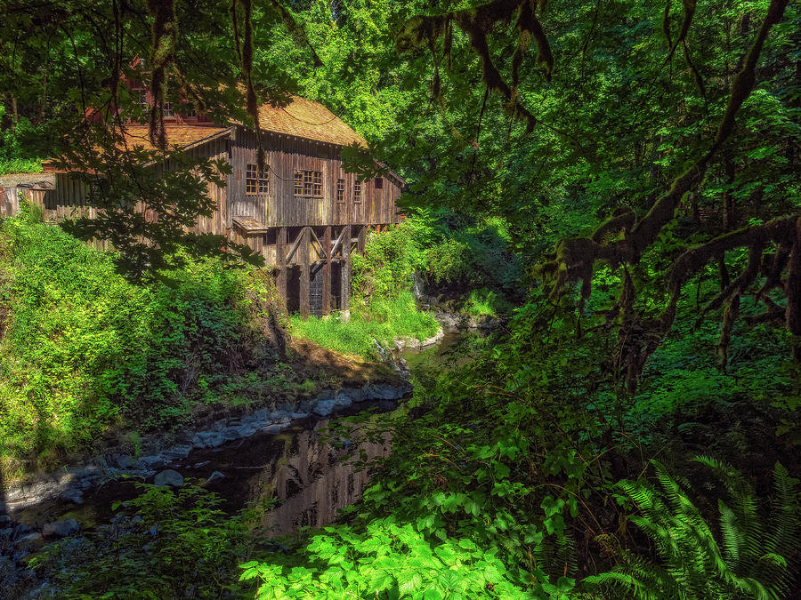 Tree Photograph - Cedar Creek Grist Mill by Thomas Hall