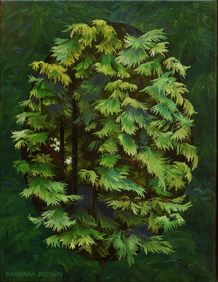 Tree Painting - Cedar Intimacy by Barbara Brown