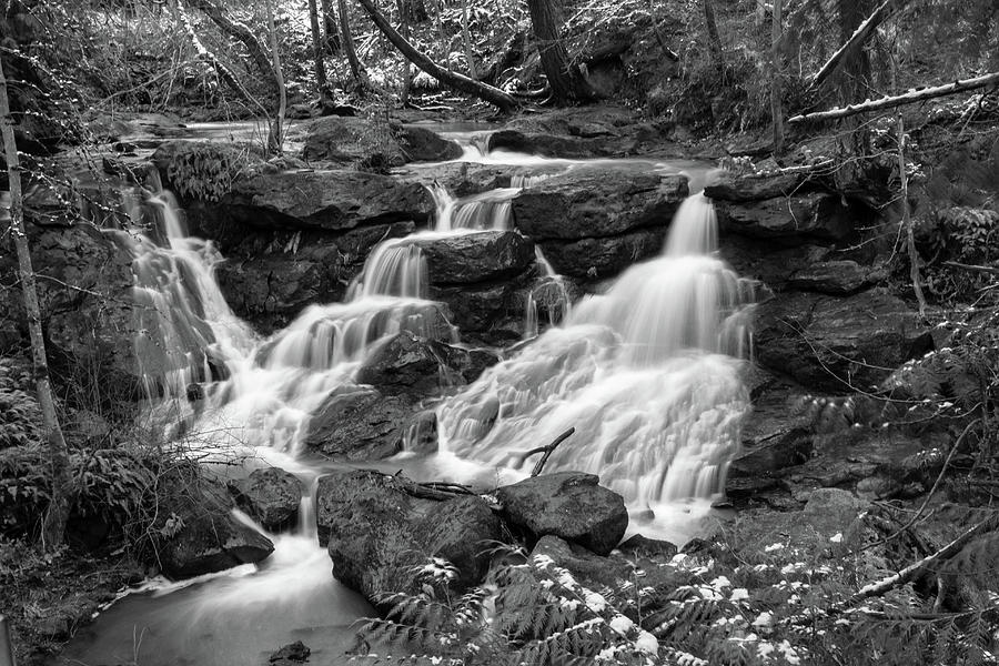 Cedar Mills Falls in monochrome Photograph by Aashish Vaidya