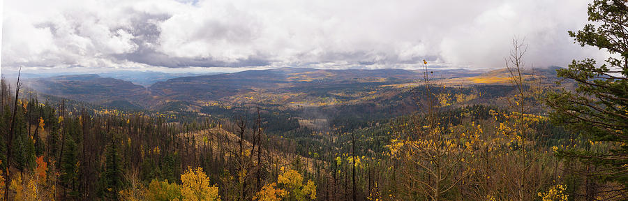 Cedar Mountain Top by Michael Monahan Cedar Mountain Top by Michael Monahan