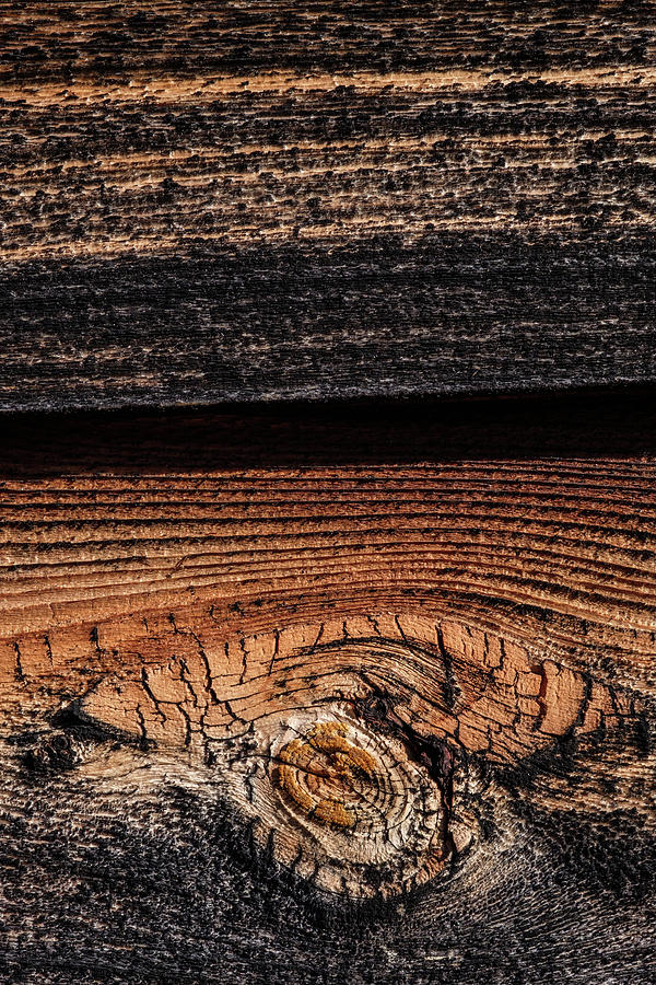 Cedar Siding Version 2  Photograph by Glenn DiPaola