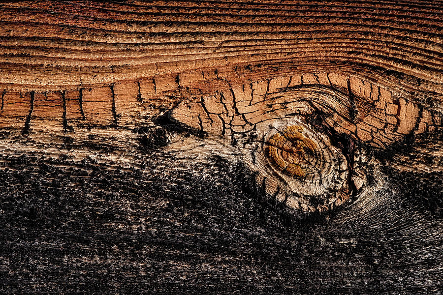 Cedar Siding Version 4  Photograph by Glenn DiPaola