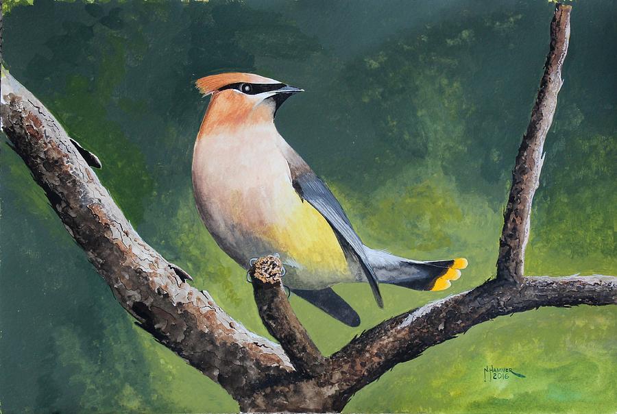 Cedar Waxwing Painting by Nelson Hammer | Fine Art America