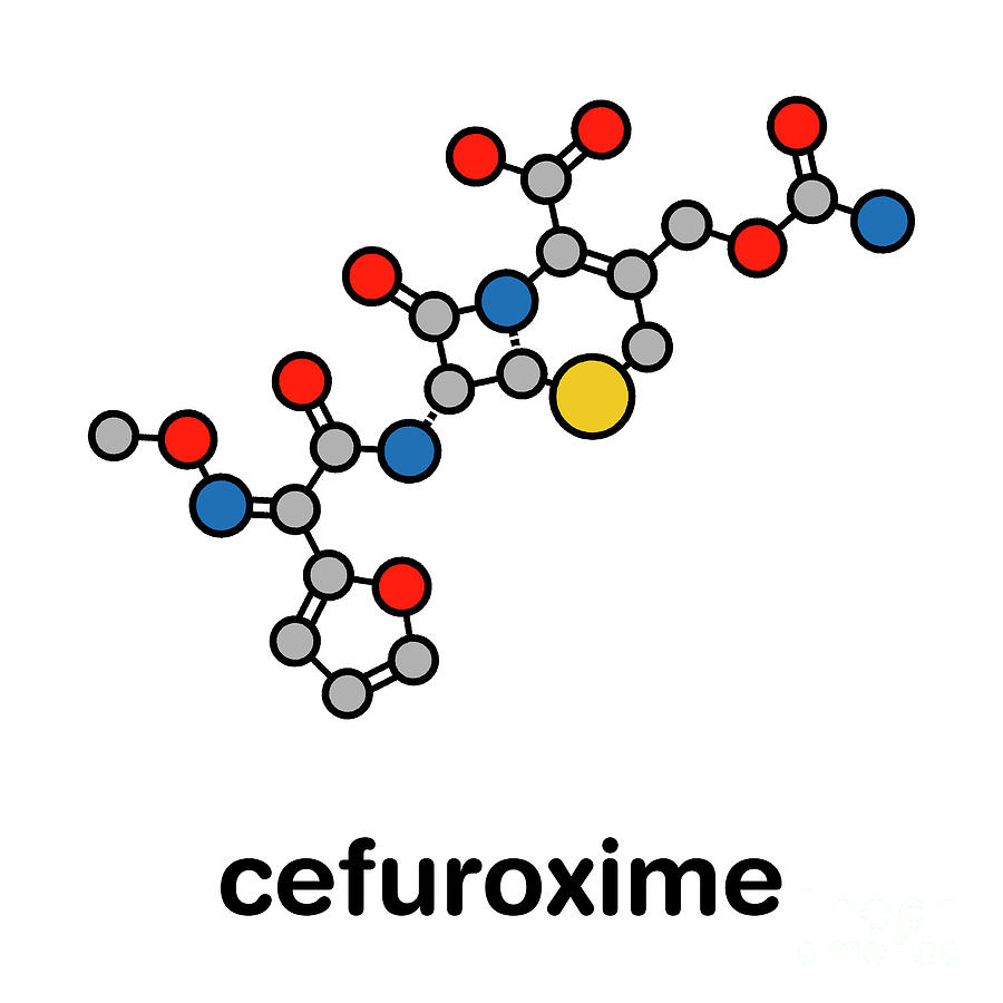 Cefuroxime Antibiotic by Science Photo Library