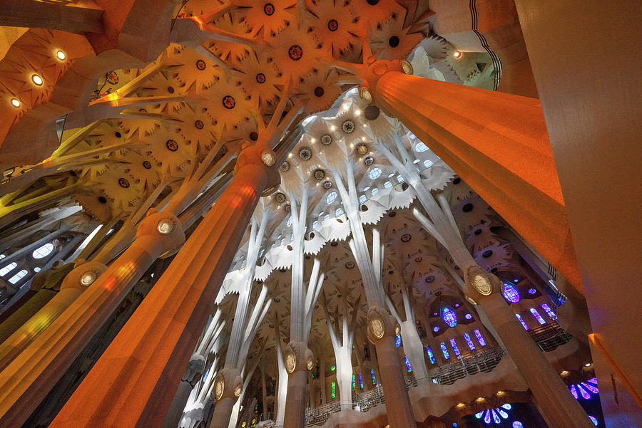 Ceiling At Sagrada Familia, Spain Digital Art by Joanne Montenegro