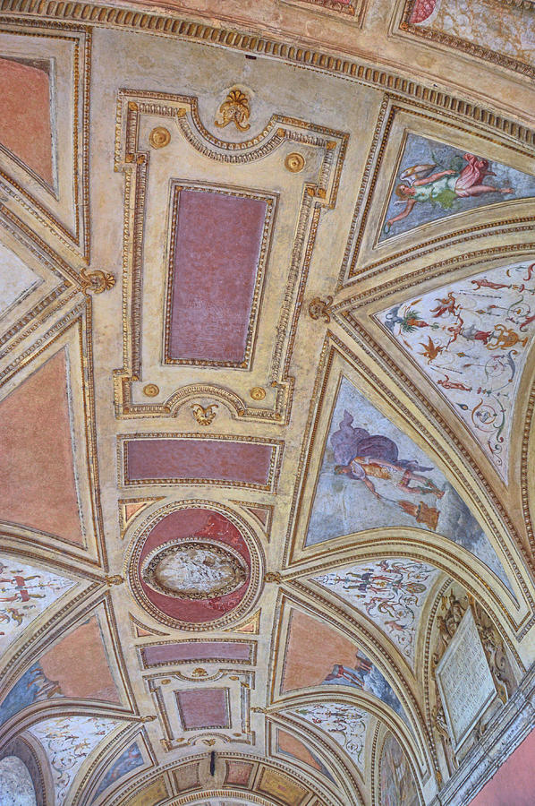 Ceiling Murals Photograph by JAMART Photography