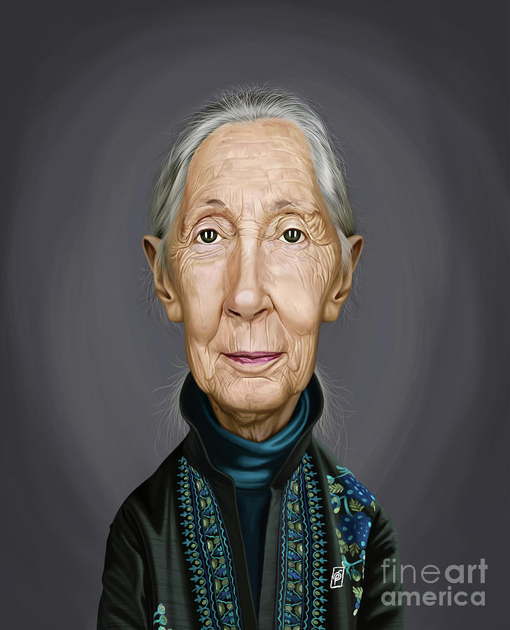 Celebrity Sunday - Jane Goodall by Rob Snow Celebrity Sunday - Jane Goodall by Rob Snow
