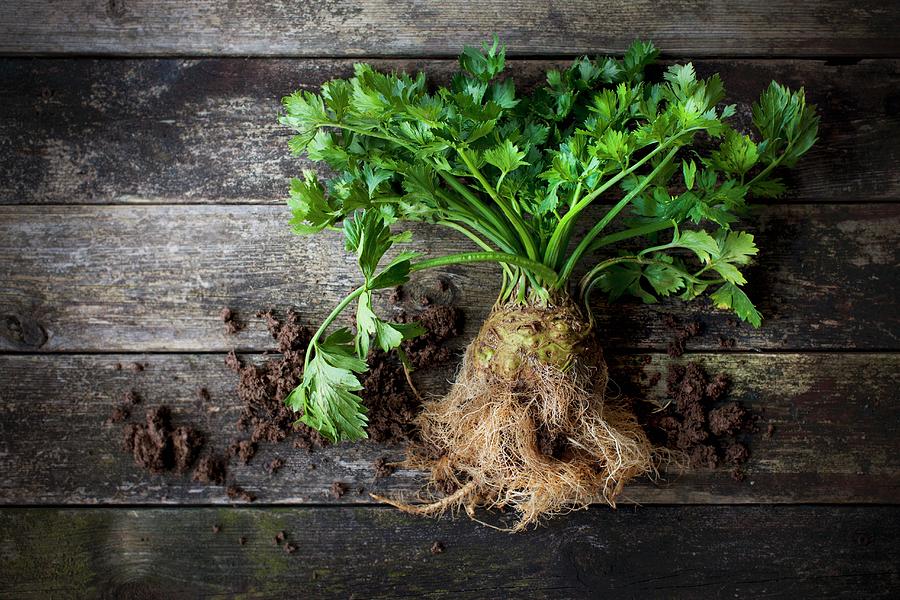Celeriac With Roots And Leaves On A Wooden Surface With Soil Photograph by Sabine Lscher