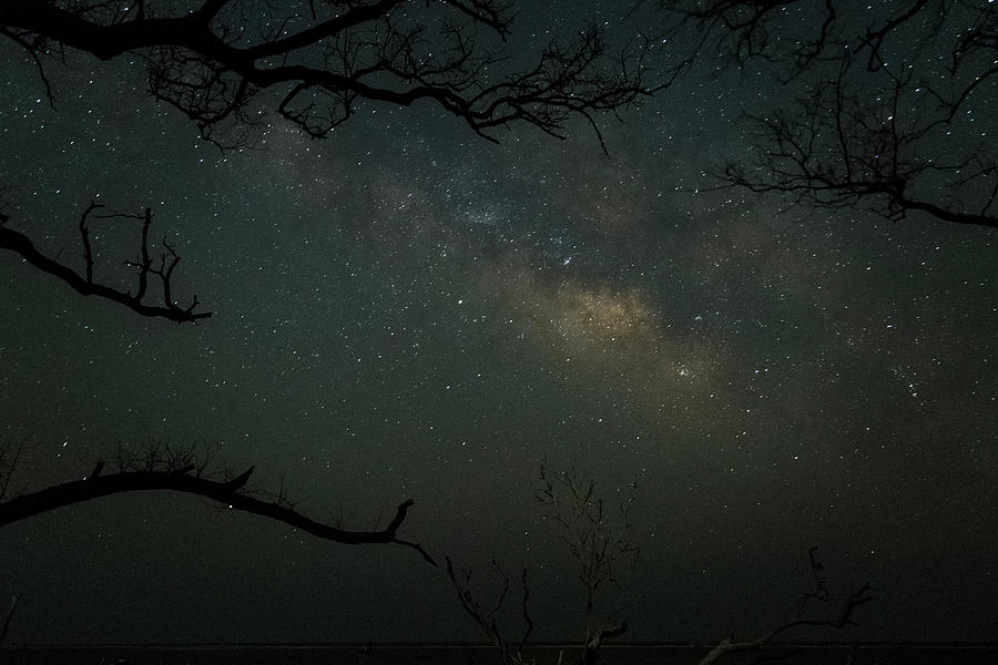 Celestial Lights Photograph by Ray Silva