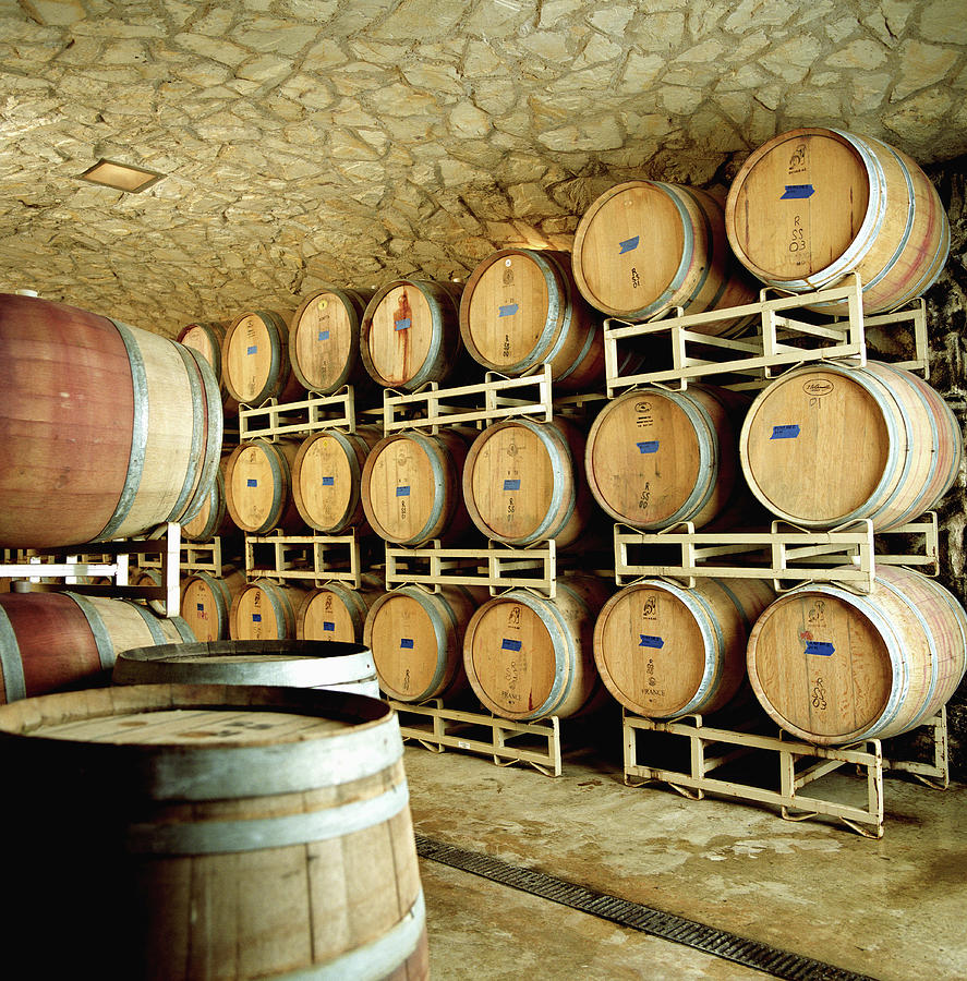Cellar In Winery Photograph by Siri Stafford