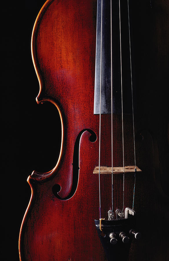 Cello, Close-up, Part Of by Gary Benson