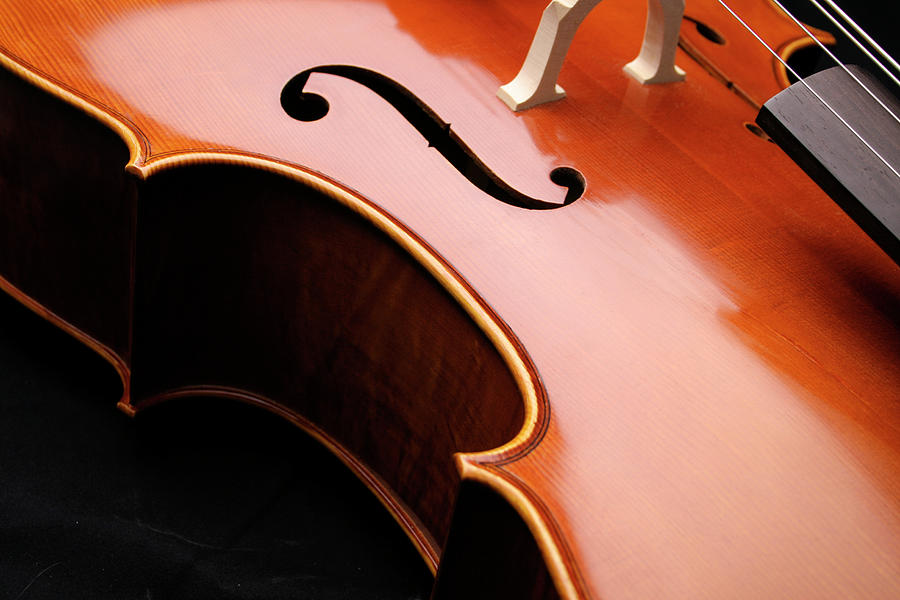 Cello Closeup Photograph by Vtwinpixel