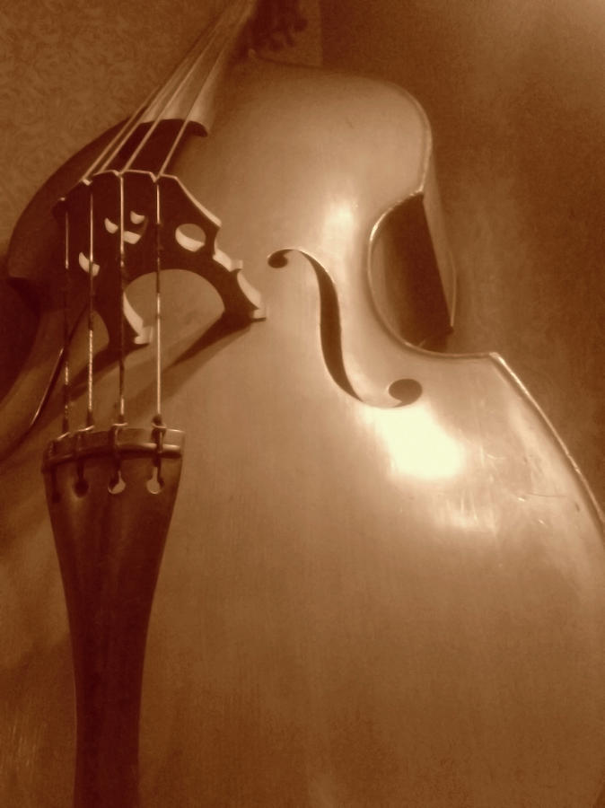 Cello Form Photograph by Silentfoto