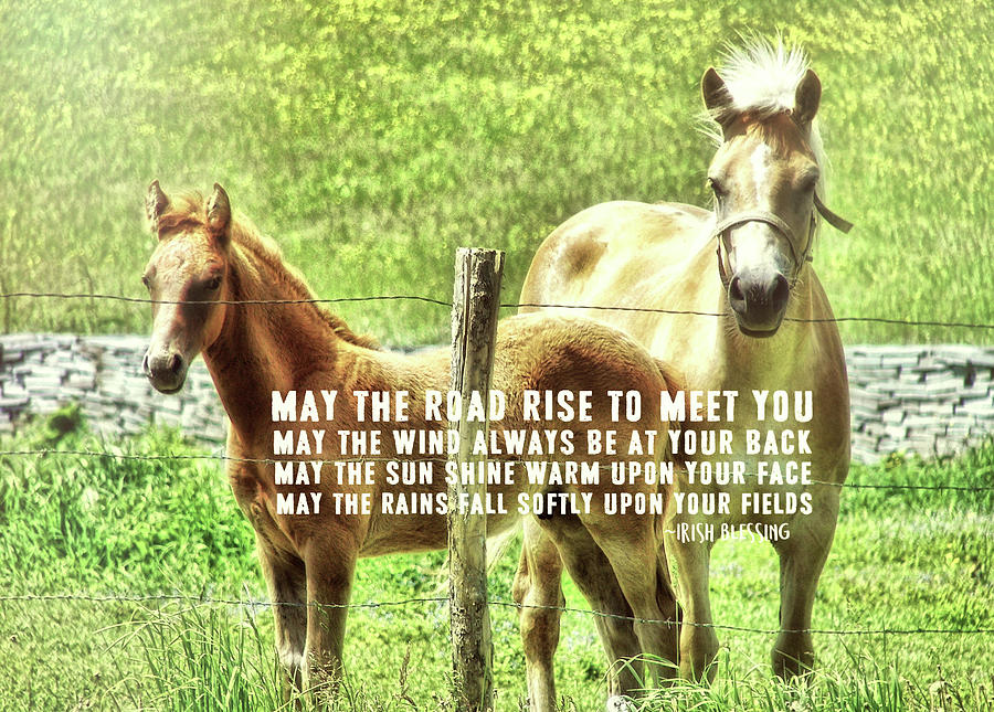 CELTIC PONIES quote Photograph by Jamart Photography
