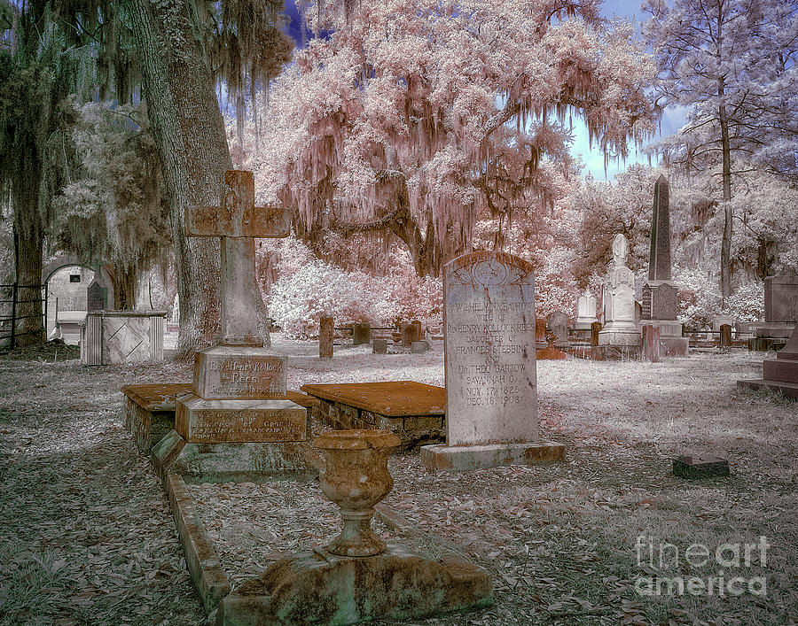 Cemetery faux color Photograph by Izet Kapetanovic