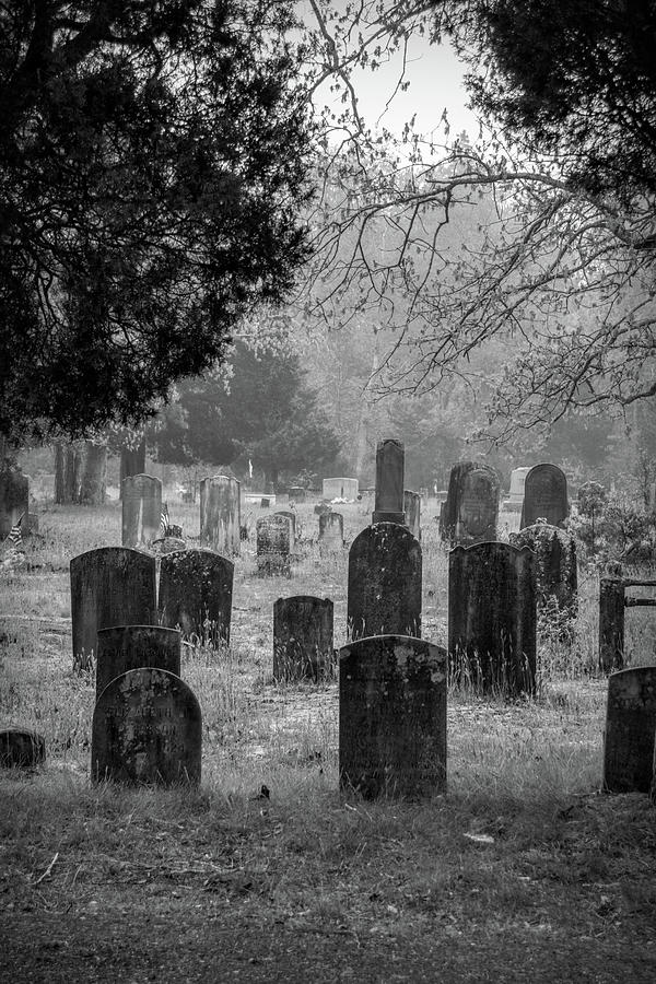 Cemetery In The Pines BW Photograph by Kristia Adams