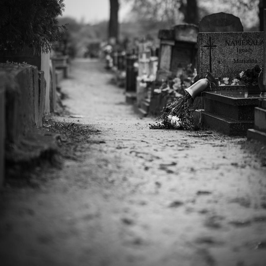 Cemetery Photograph - Cemetery by Mateusz
