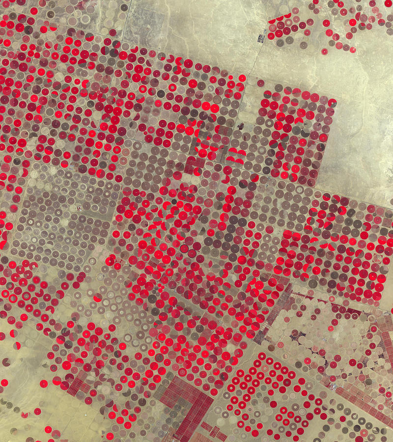Center-pivot Irrigation, Saudi Arabia Photograph by Science Source