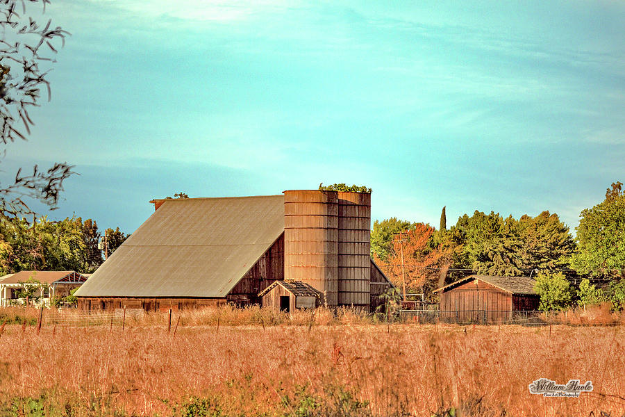 Central California Barn by William Havle Central California Barn by William Havle