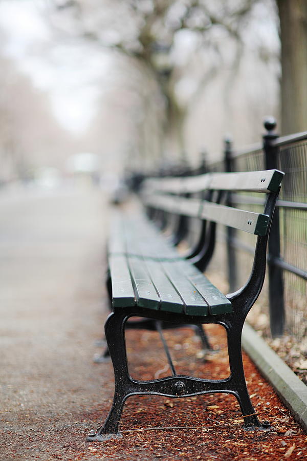 Central Park Bench Photograph by Jimss