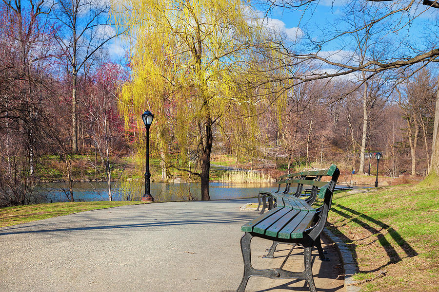 Central Park Benches, Nyc Digital Art by Lumiere