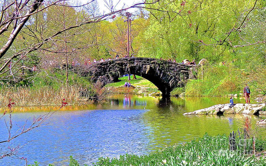 Central Park Bow Bridge 22 Photograph by Ken Lerner - Fine Art America