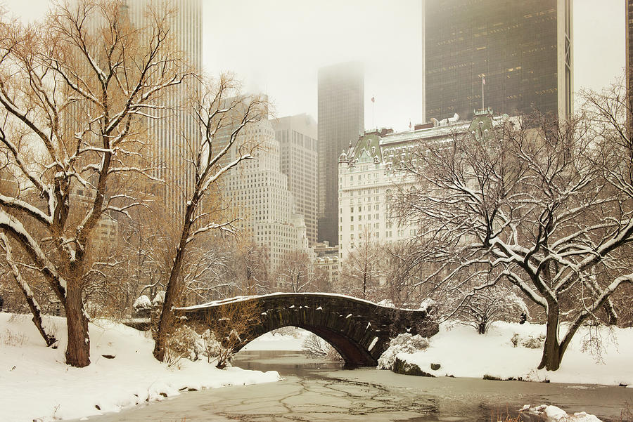 New York City Photograph - Central Park Bridge by Wiff Harmer