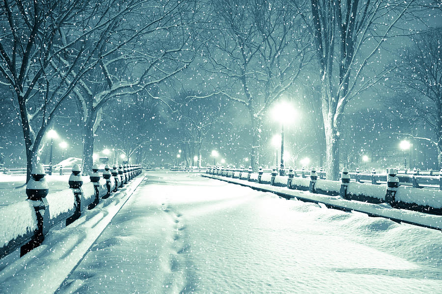 Central Park By Night During Snow Storm Photograph by Pawel.gaul