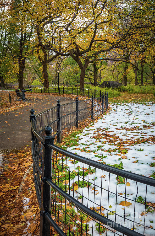 Central Park Fence Photograph by Inge Johnsson
