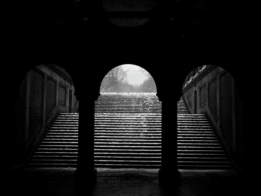 Central Park Photograph by Fotos De Pedro J. Saavedra