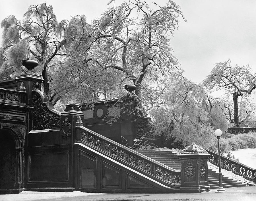 Central Park Photograph by George Marks