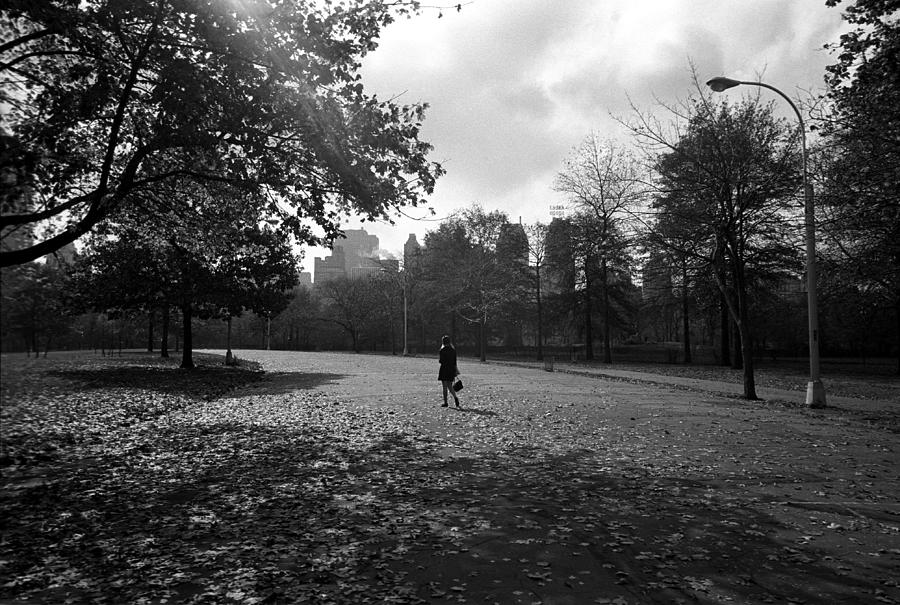 Central Park Photograph by I C Rapoport