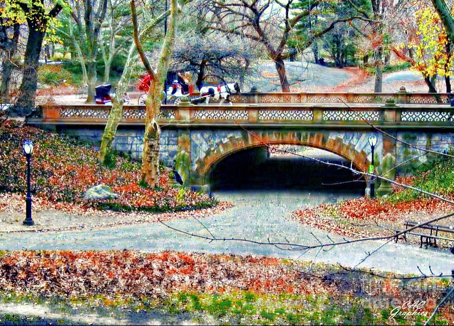 Central Park in Autumn Digital Art by CAC Graphics