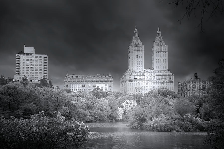 Central Park in New York City Photograph by Mark Andrew Thomas
