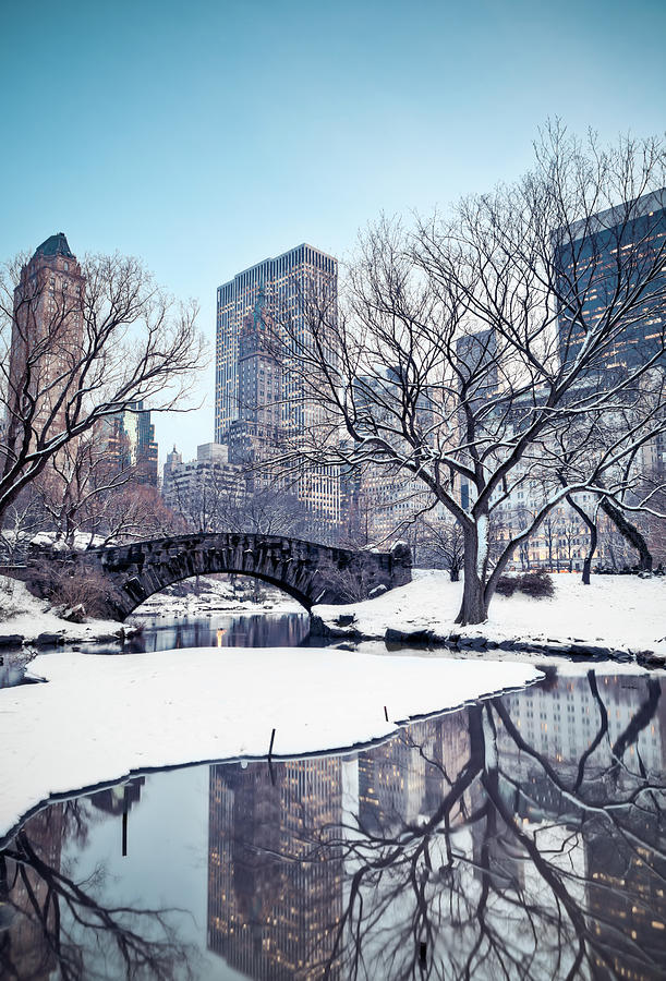 Central Park In Winter Photograph by Pawel.gaul