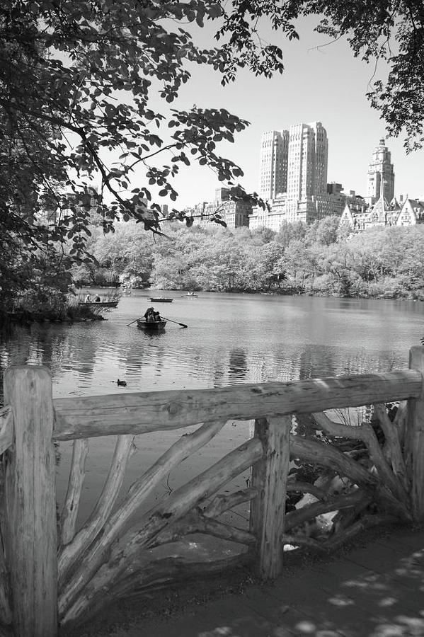 Central Park Photograph by Jenny Greathouse - Fine Art America