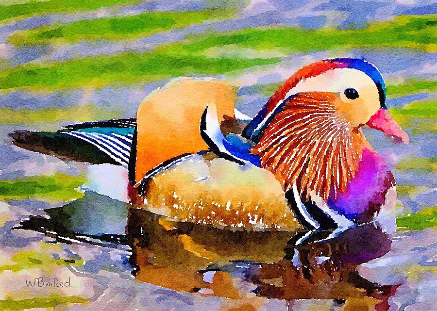 Central Park Manderin Duck Painting by Wade Binford