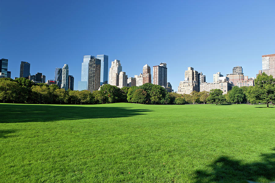 Central Park Manhattan New York Photograph by Amriphoto