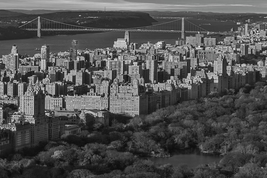 Central Park Manhattan NYC BW Photograph by Susan Candelario