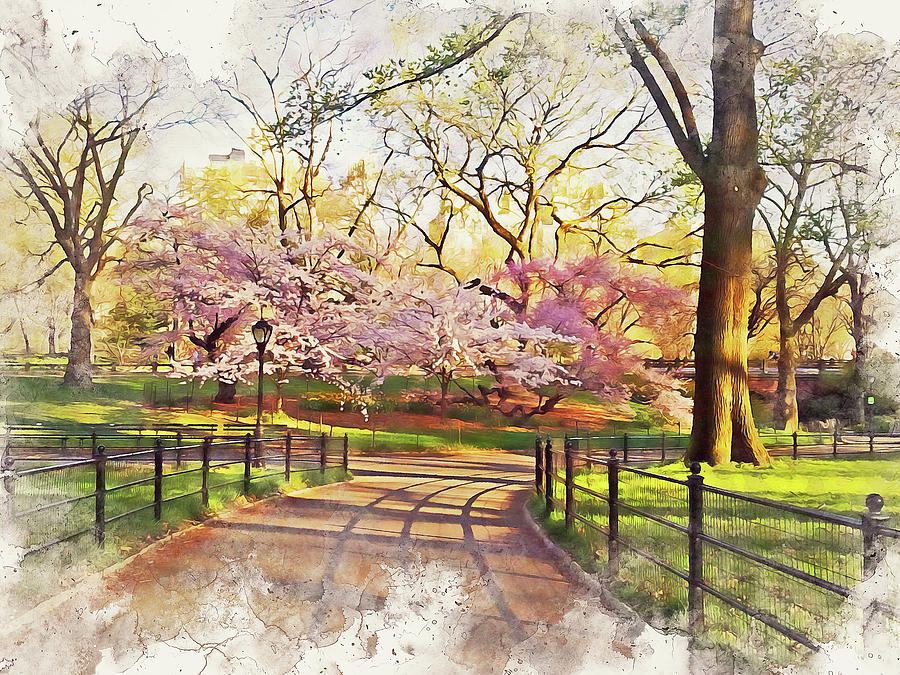 Central Park, New York - 04 Painting by AM FineArtPrints