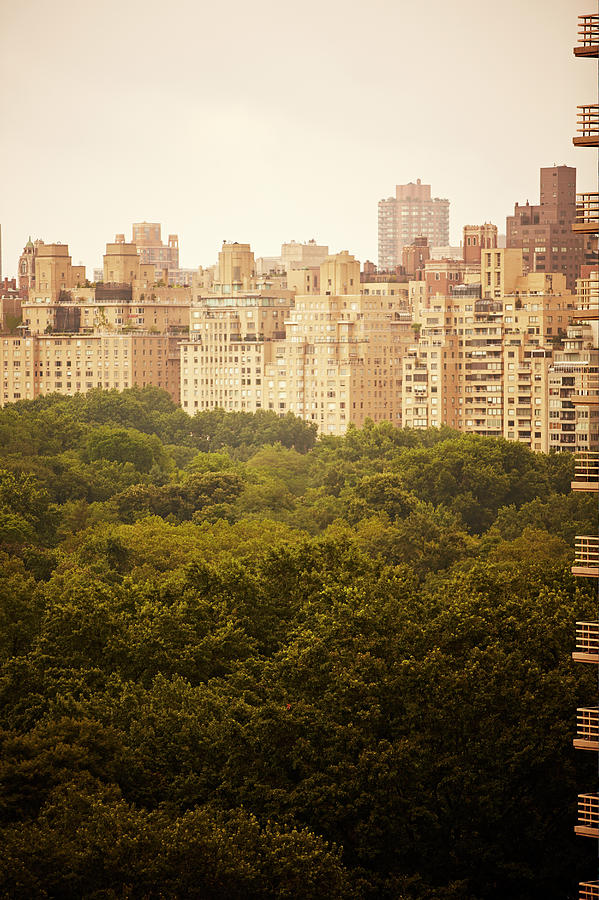 Central Park, New York Photograph by Ballyscanlon